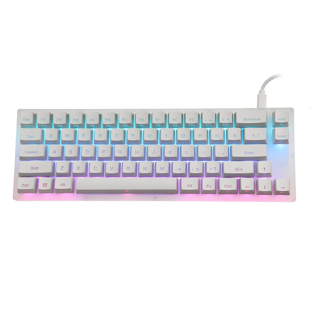 GamaKay K66 Mechanische Tastatur mit 66 Tasten, Gateron-Schalter austauschbar, Tyce-C kabelgebunden, RGB-Hintergrundbeleuchtung mit kristalliner Basis für PC und Laptop